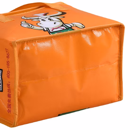 Полиэфирная спортивная молния, 24 банки, изолированная рекламная сумка-холодильник